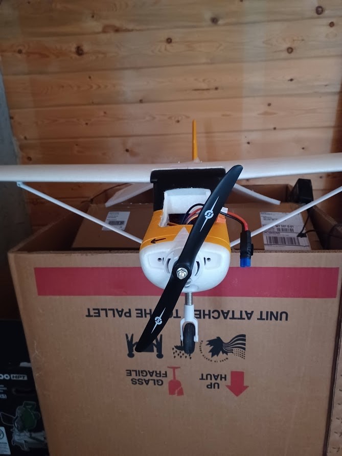 RC plane FMS 1220