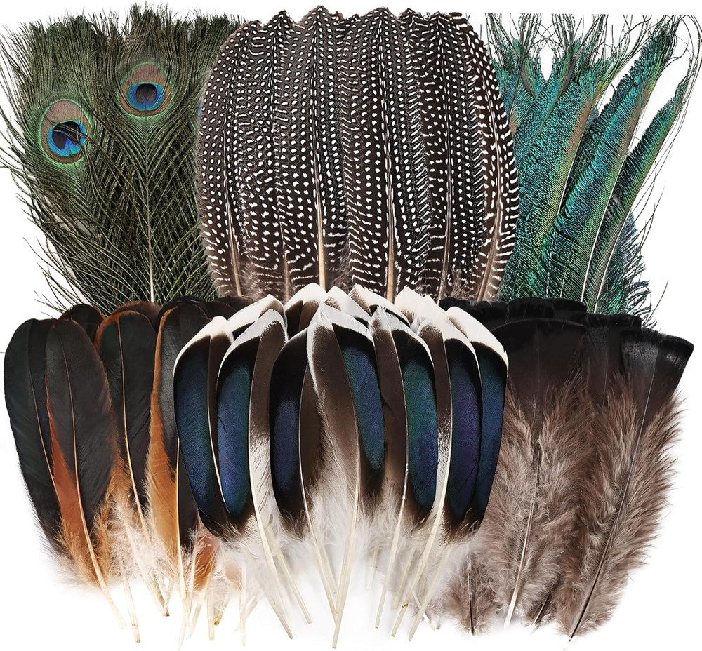 Feelfunfeather 50Pcs Natural Feathers Bulk-6 Style Mixed Decorative Spotted