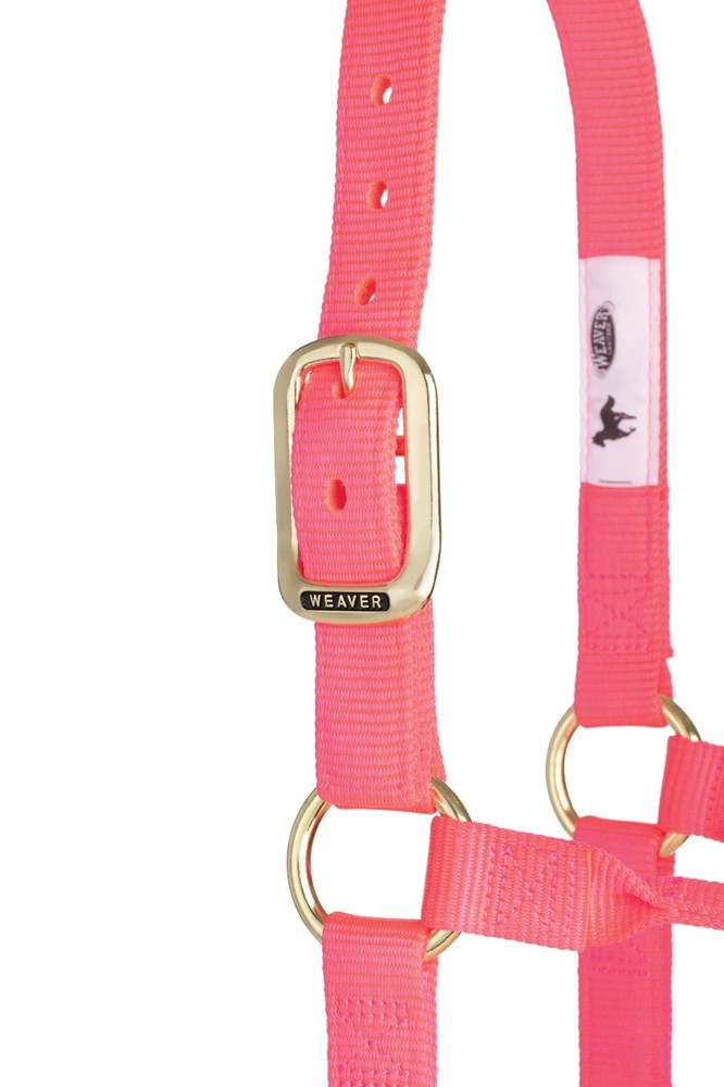 Original Non-Adjustable Halter , 1" Pink