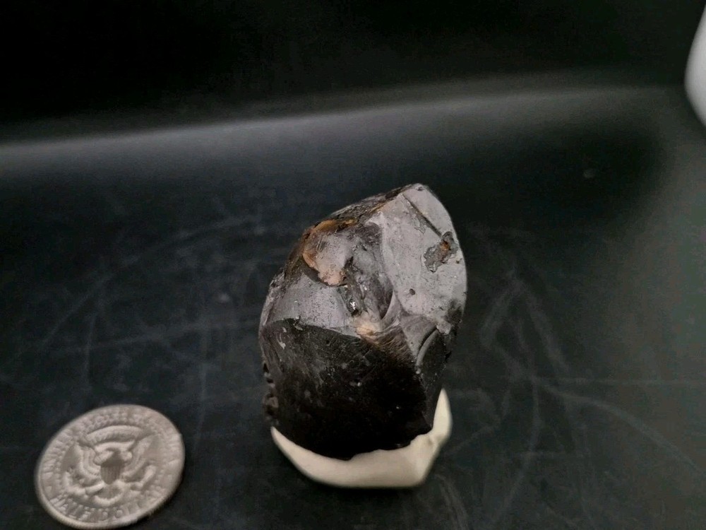 Real Fossil Dinosaur Egg Opalized