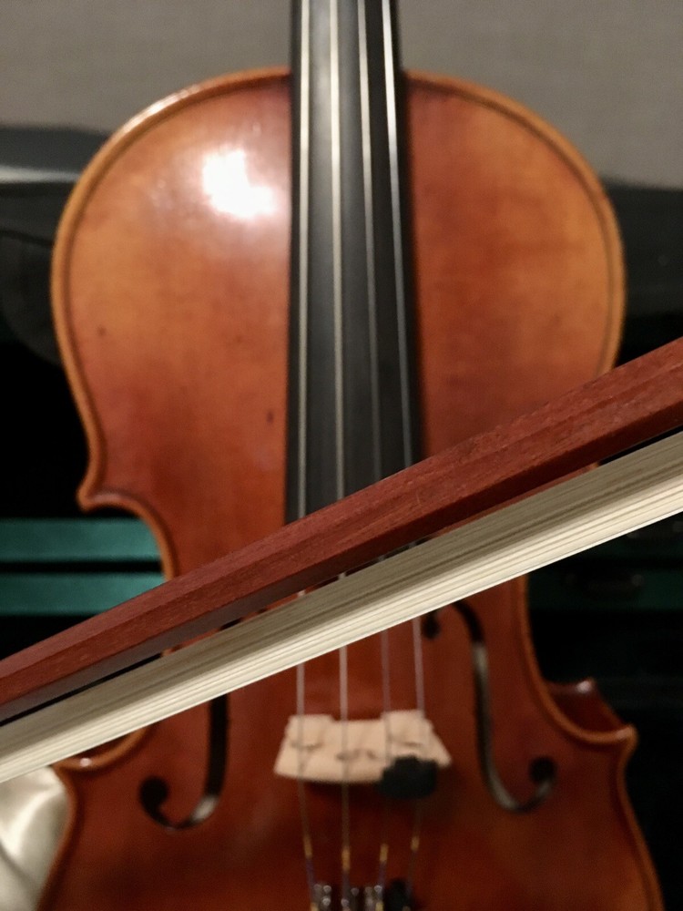 Otto Benjamin Eastman Strings Viola MA500