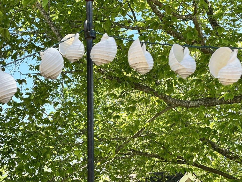 Sea Shell Patio Lights