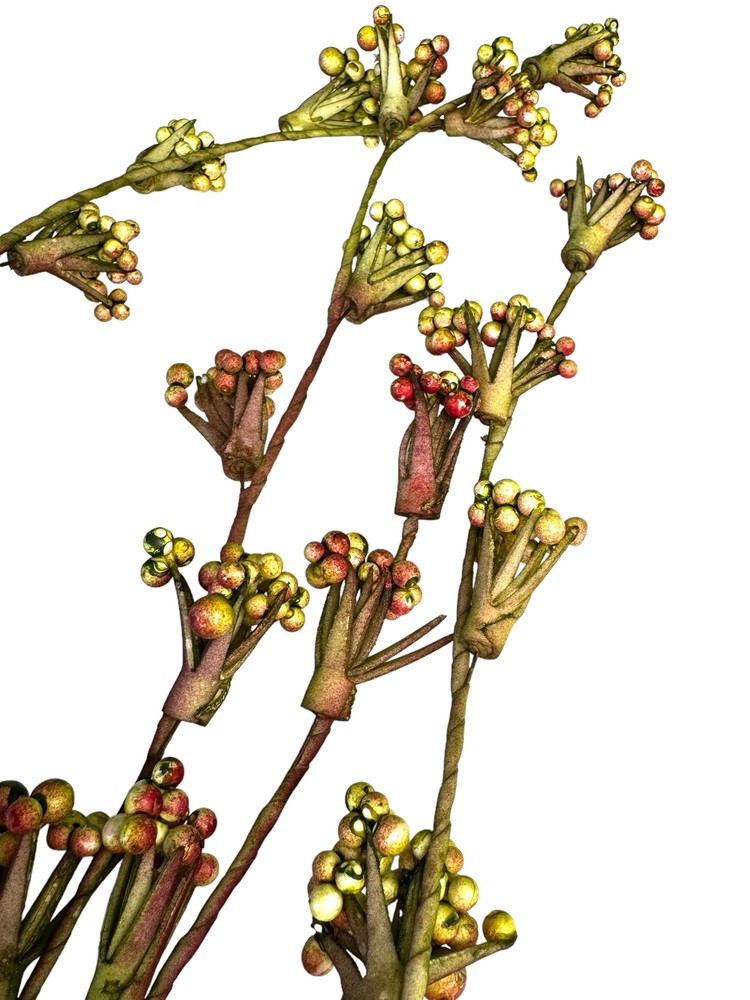 Trailing Green & Crimson Berry Stem