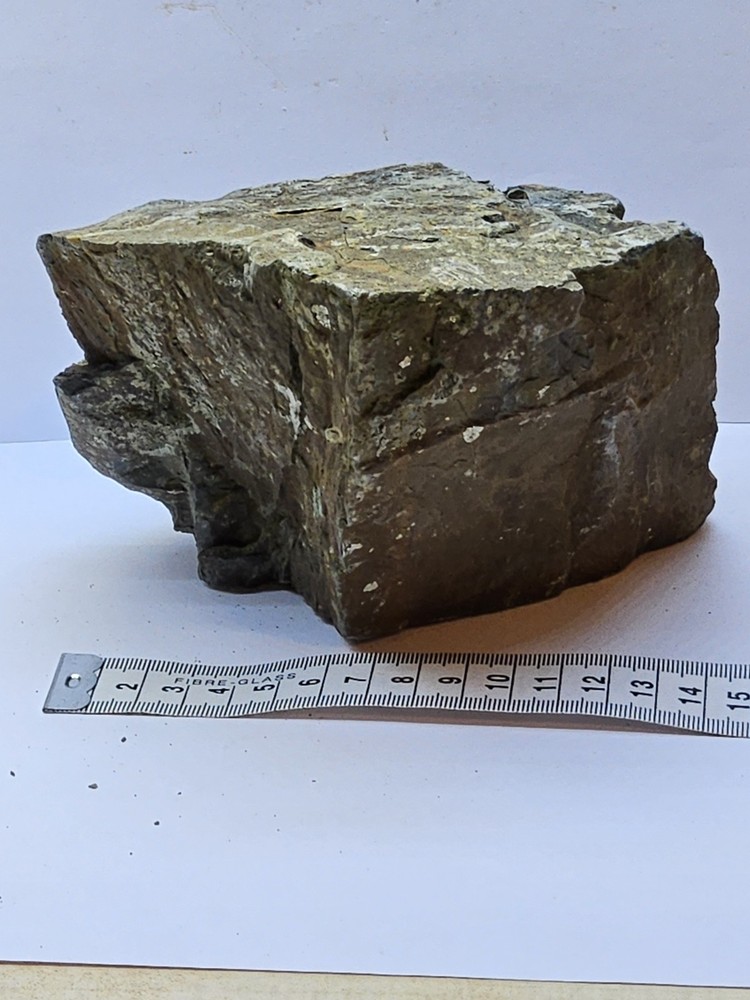 🪷 stunning slate Stone suitable for micro landscape,terrarium design