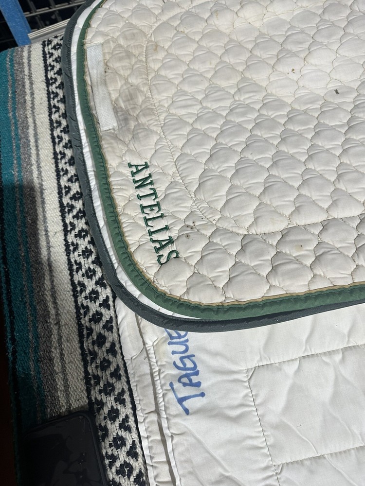 Wilker Saddle Pads And 37” Leg Wraps Used Bundle