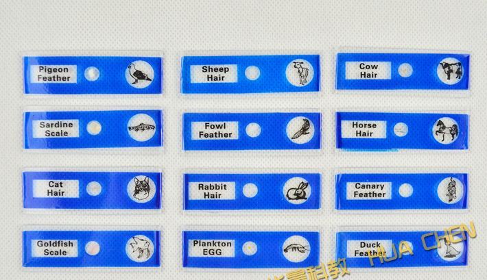 48 Pcs Prepared Microscope Slides Insects Animals Plants Flowers Sample