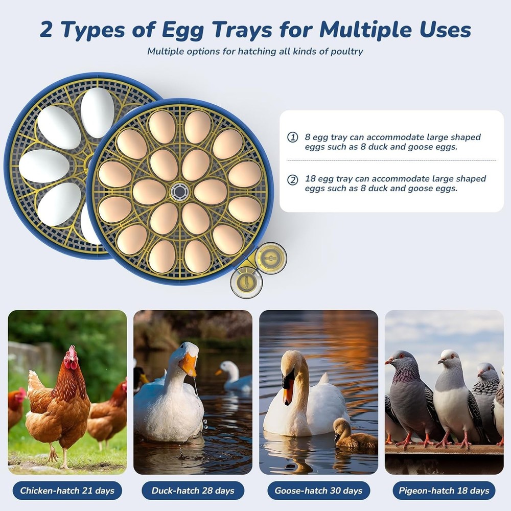 Incubator for Hatching Eggs with Automatic Egg Turning & Temperature/Humidity...