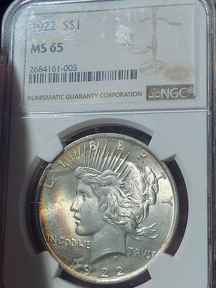 1922 $1 Peace Dollar MS65 NGC Toned