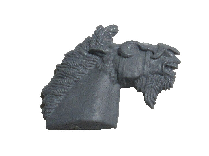 Warhammer Bretonnian Pegasus Knight bits Head (Random pose)