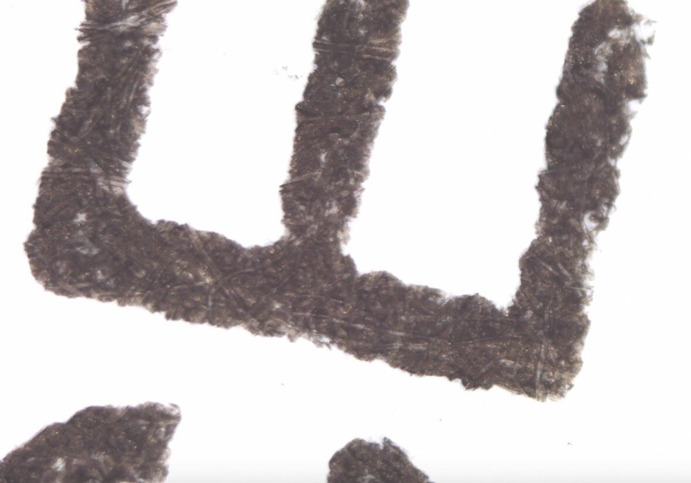 Bodelin ProScope PSHR50X HR Digital Handheld Microscope