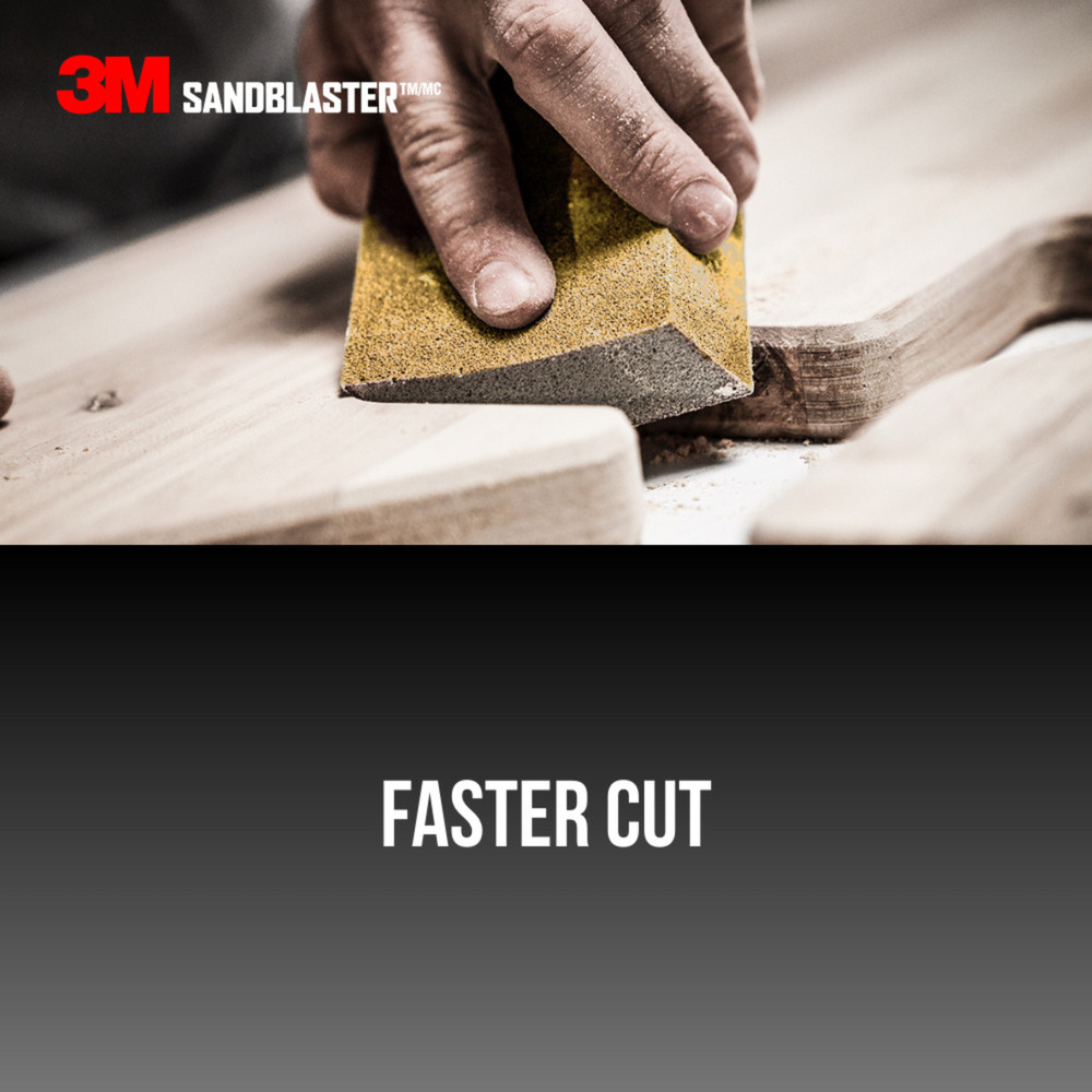 3M Sandblaster Advanced Sanding Sponge: 220-grit / fine