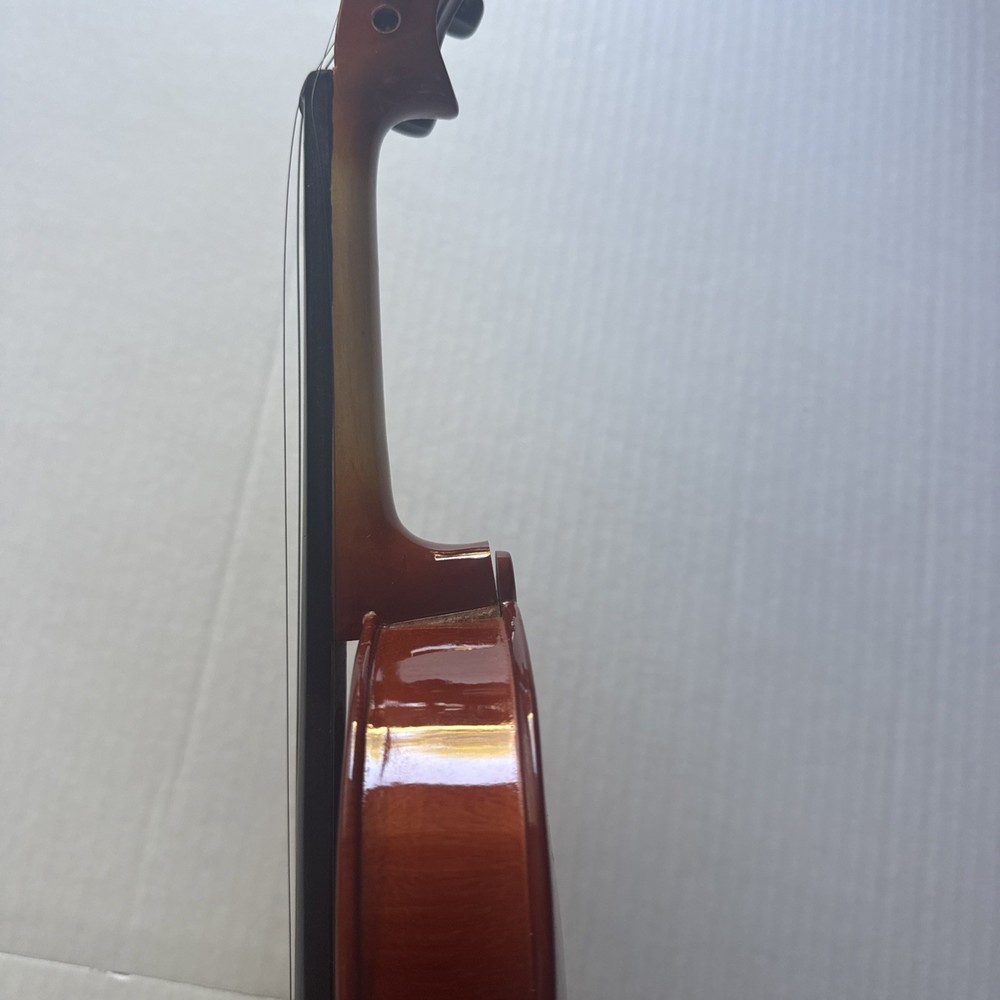 Violin With Case