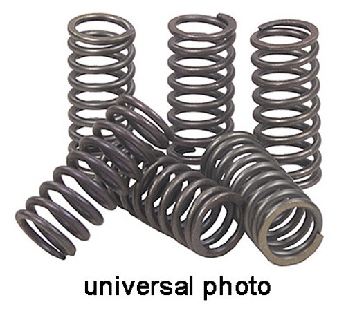 EBC EBC CLUTCH SPRINGS CSK900