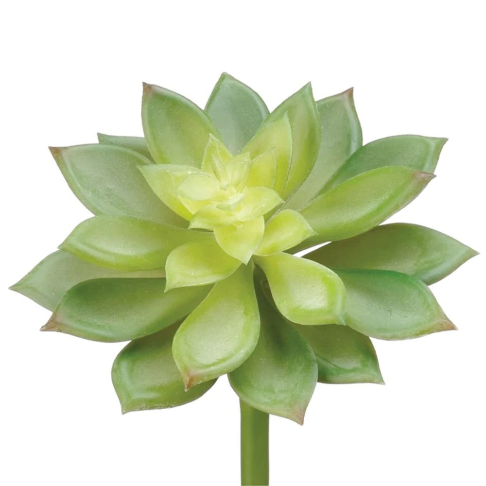 Echeveria Artificial Pick Spray - 10" - Green