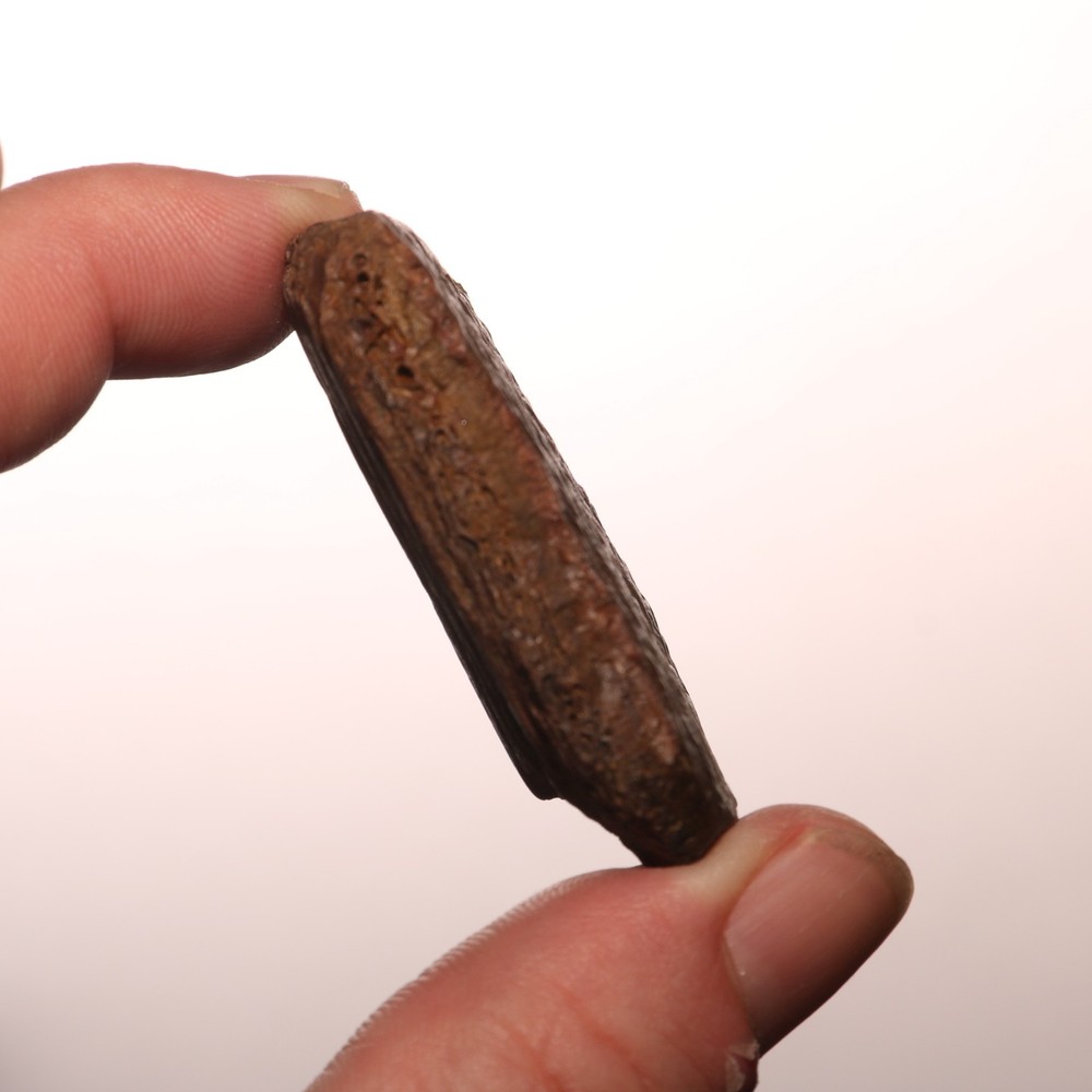 Nice TURTLE SHELL Piece - Dinosaur Age Fossil - CRETACEOUS Hell Creek Formation