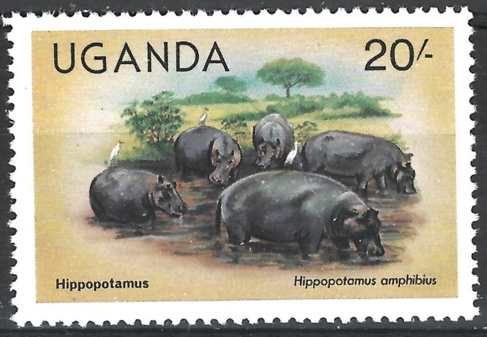 Uganda 1979.  Hippopotami.  Sc# 285 , MNH