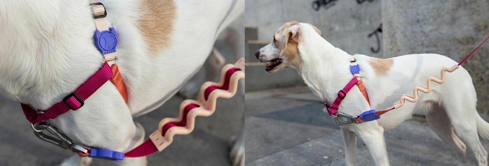 ZEE.DOG | Cinnamon | Soft Walk Dog Harness | No Pull Dog Harness | Front Clip