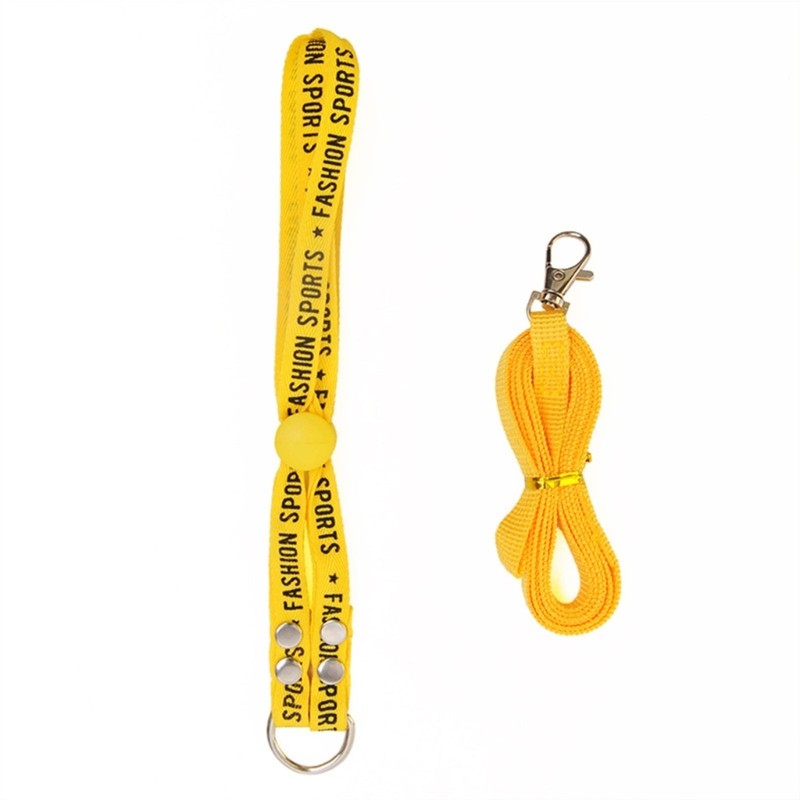 Training Companion Leash For Small Pet Featuring Comfortable Harness Design