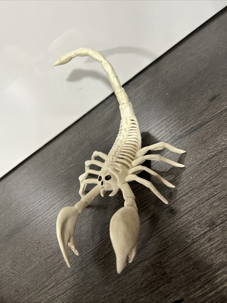 Halloween Scorpion Skeleton Figure