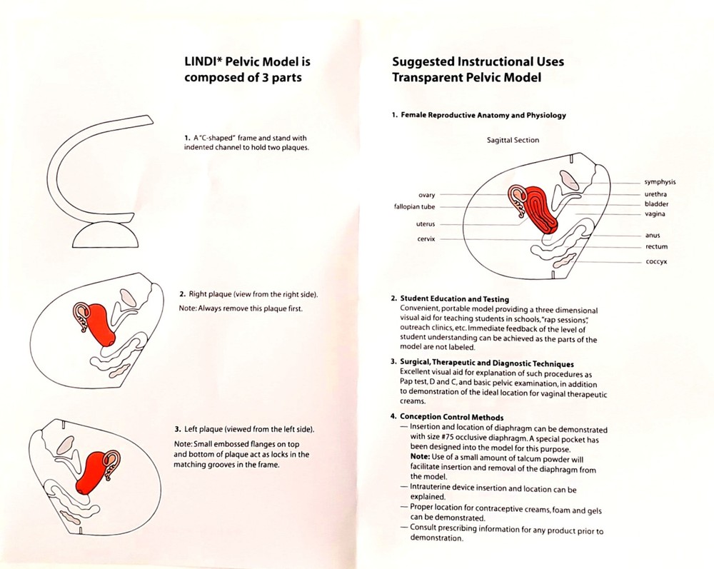 Female Contraceptive Birth Control Model Training Teaching Condom Sponge Cap IUD