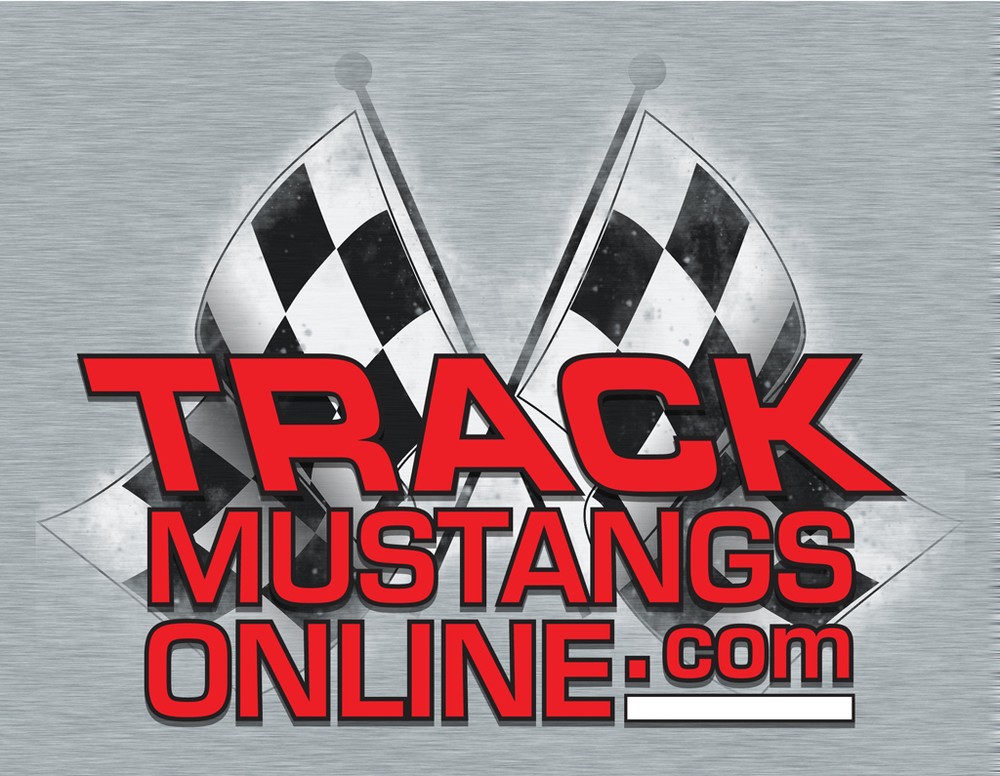 Blank Mustang Side Pipe Exhaust Plates/Discs Fits BOSS 302