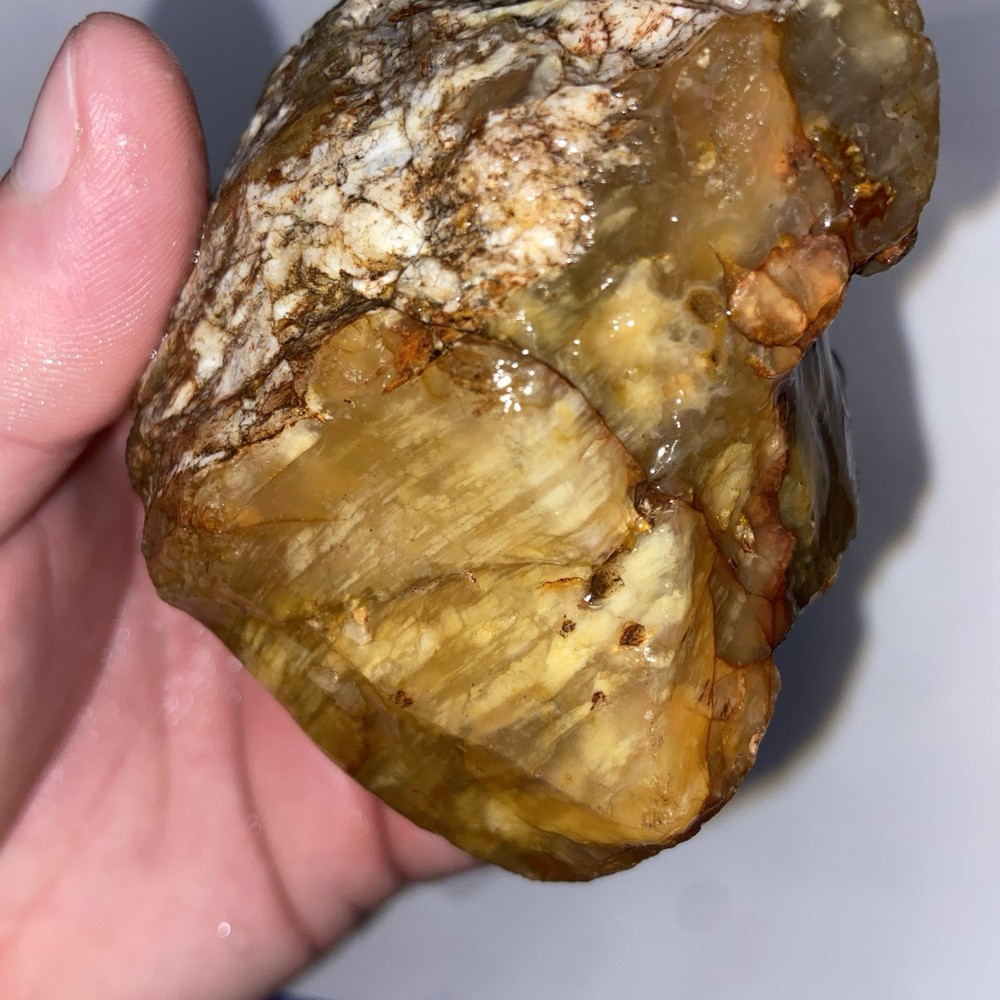Cornflake Carnelian Unique Rough Lapidary Material 1 Pound 1.1 Oz