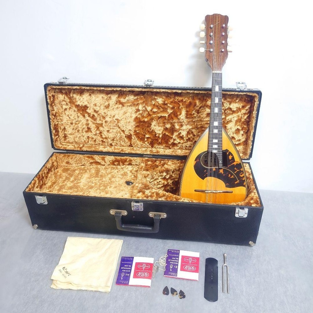1975 Iwasaki Mandolin with hard case Ohno