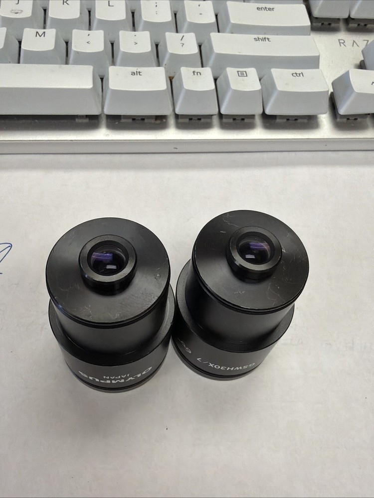 Olympus Microscope Eyepieces Pair (2) GSWH30X/7