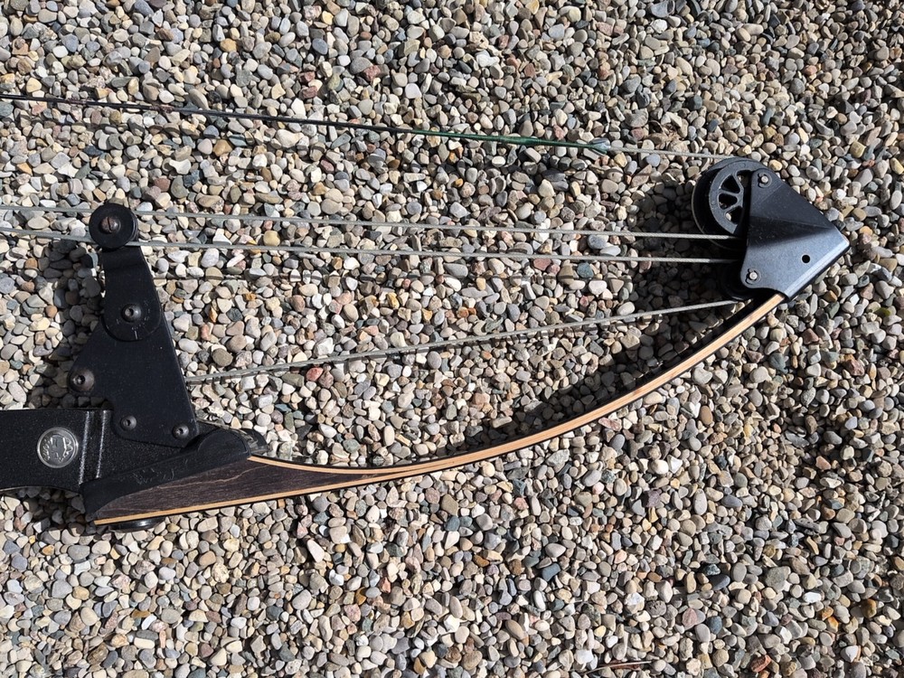 Vintage Bear Polar LTD 51" Compound Bow 39" String Length