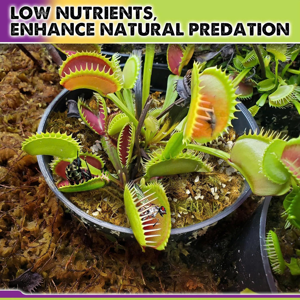 DUSPRO Carnivorous Plant Soil Mix 1.5Qt-Include Forest Moss, Peat Moss, Perlite