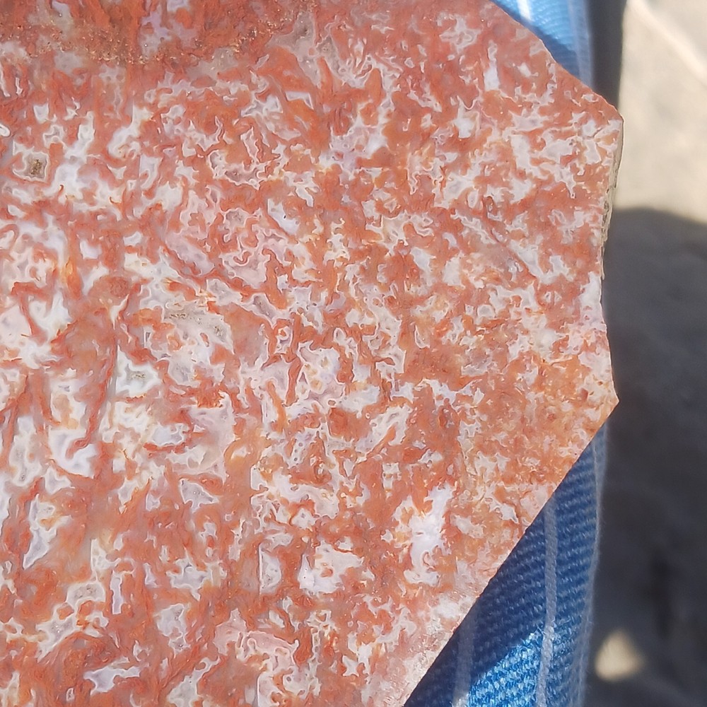 BIG Moss Agate Slab Ready For Lapidary