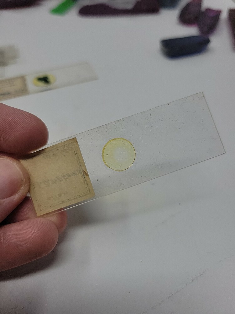 Vintage Microscope Slide 1940