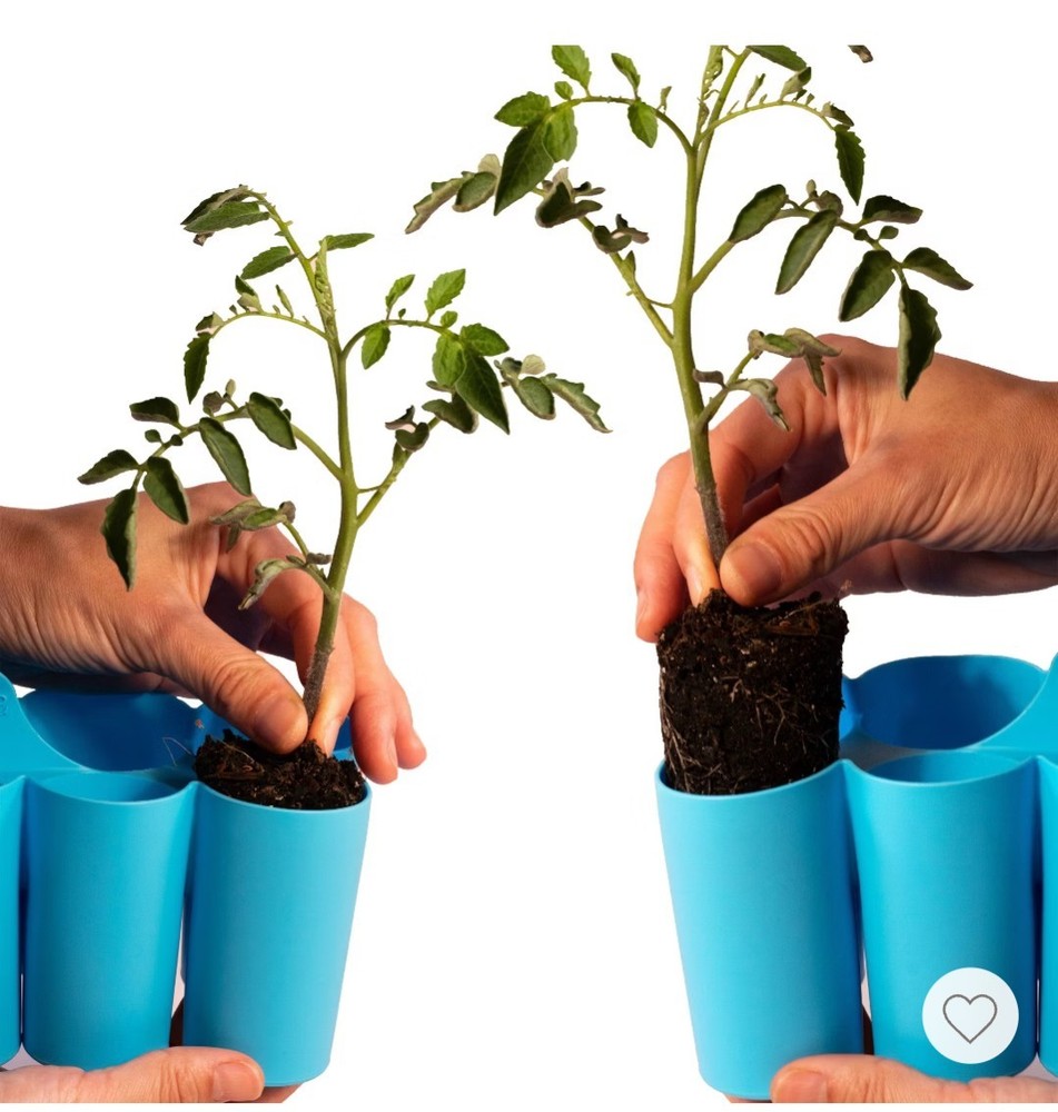 Sili-Seedlings Silicone Seed Starter Trays 2-Pack - Reusable Germination Pots