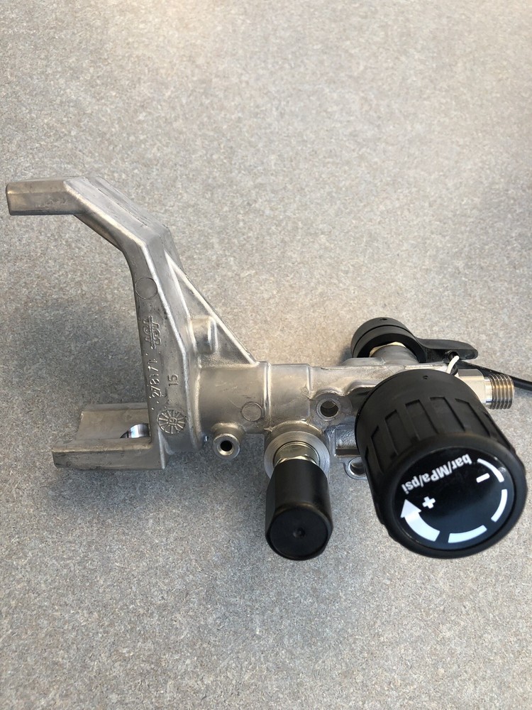 Graco 17L079 Replacement Pump