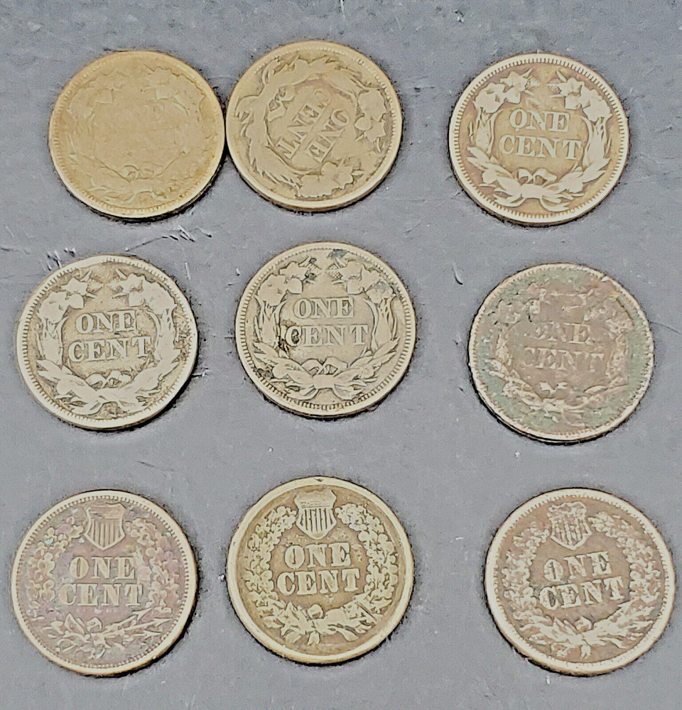 9 Mixed Flying Eagle & Indian Cent Collection