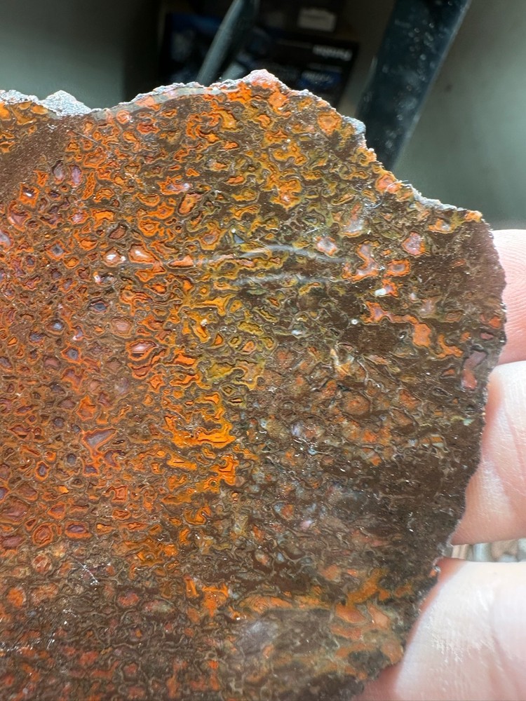 Dinosaur bone rough **hxtled slab.