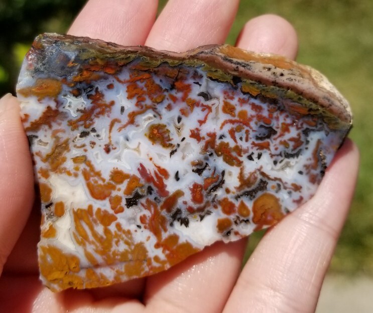 Wingate Pass - Plume Agate - Slab