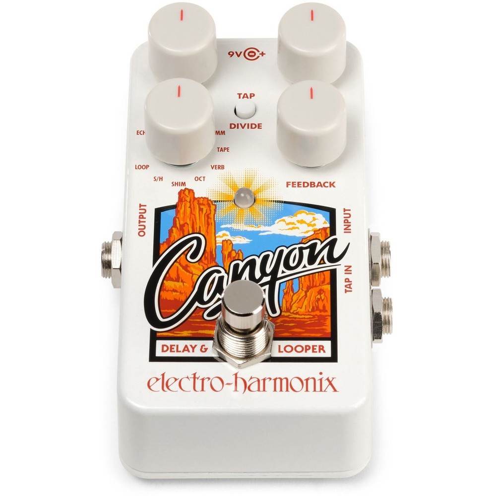 Electro-Harmonix Canyon Delay & Looper Guitar Effects Pedal
