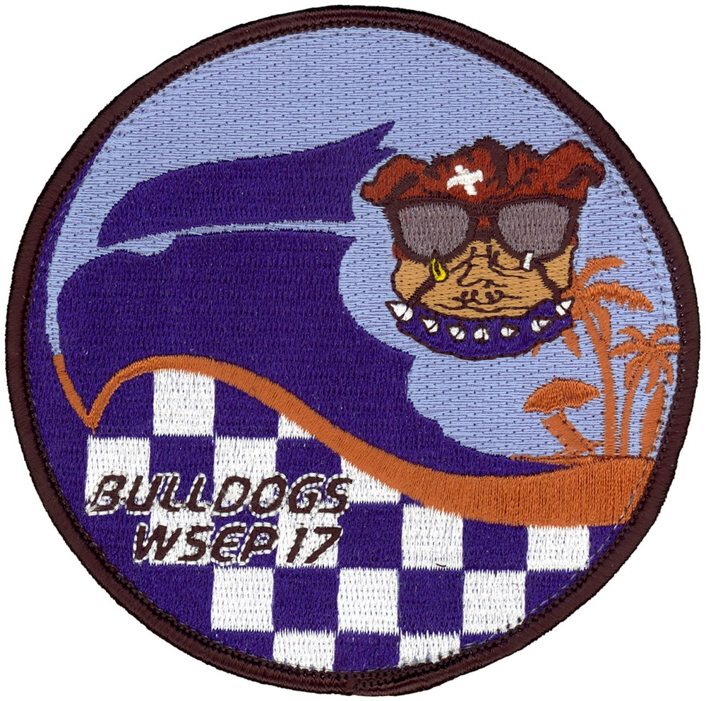 USAF 525th FIGHTER SQUADRON WSEP 2017 PATCH