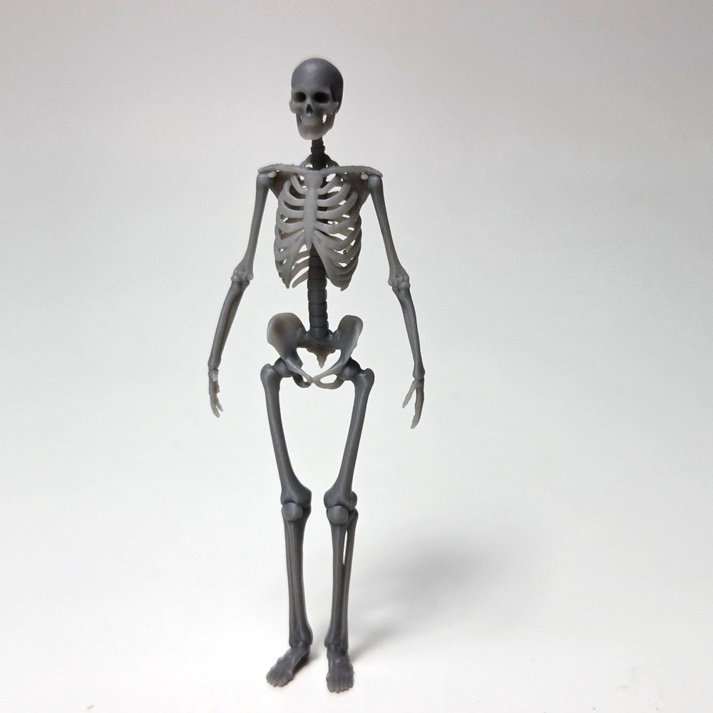 Skeletons 1/24 - 1/25 Scale (2 Pack)