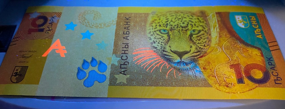 Abkhazia, 10 Apsar, 2024, P-New UNC Leopard