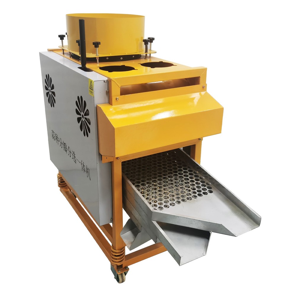 Auto Garlic Clove Separator Bulb Breaking Machine Seed Sorting & Dicing Peeler