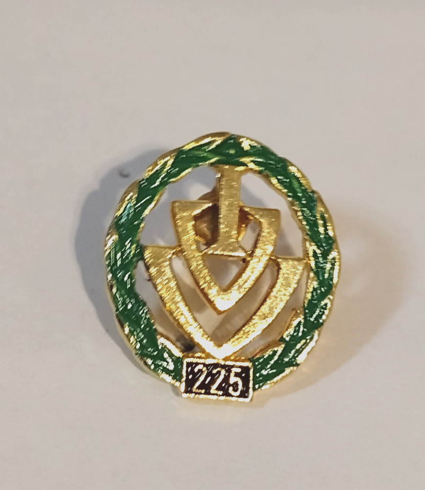 IVV 225 Walking Award Lapel Pin