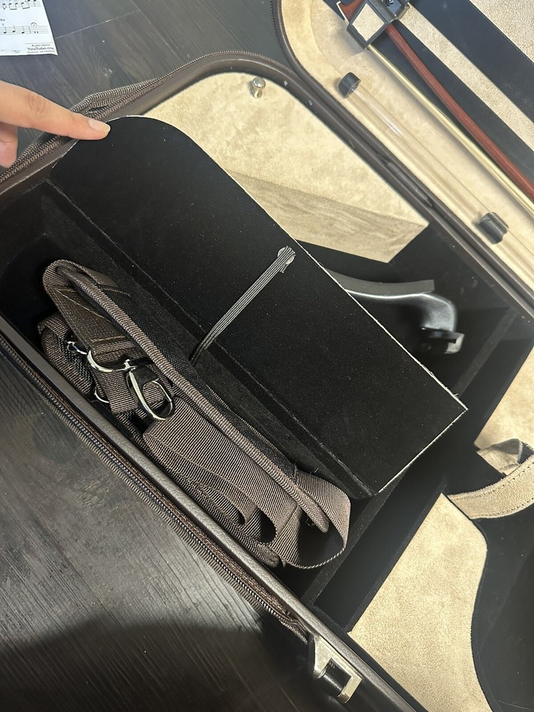 Louis Carpini Viola 15 1/2