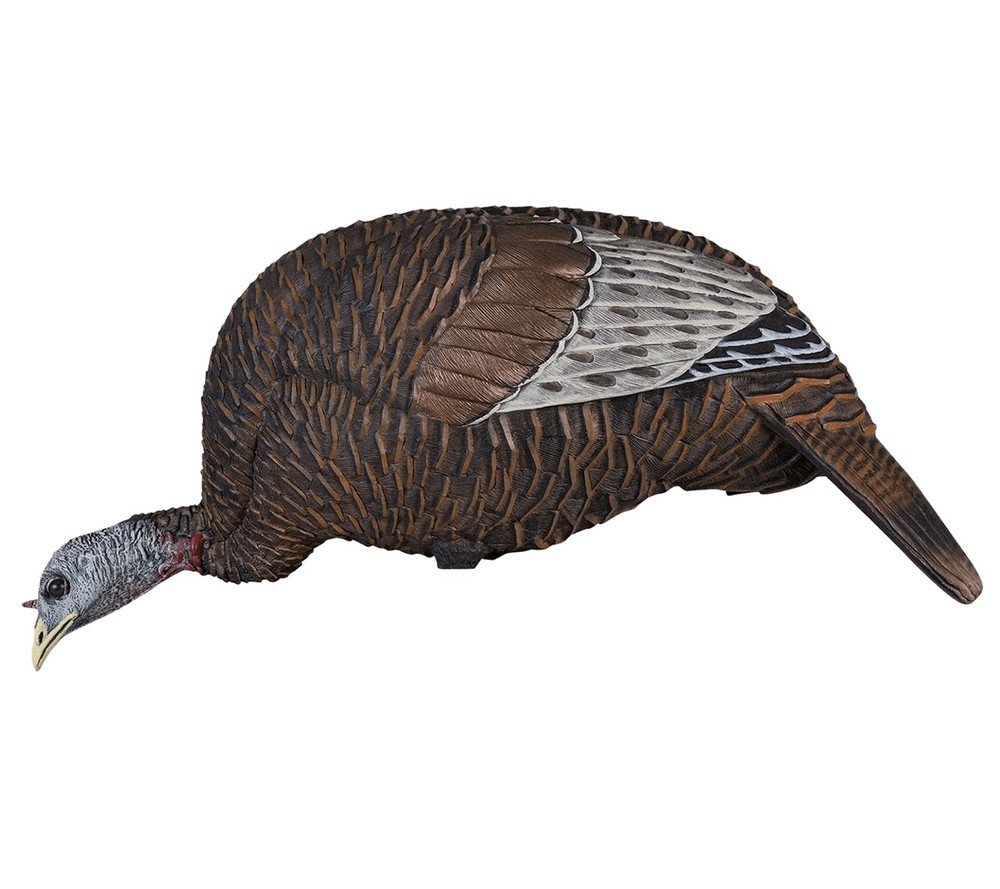 Flextone Thunder Chick (Feeding) Turkey Decoy #FLXDY314