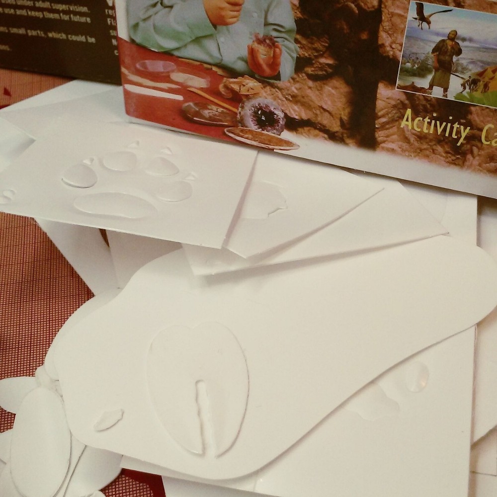 Fossils & Footprints Interactive Evolution Kit #62019 Clementoni Open Box Unused