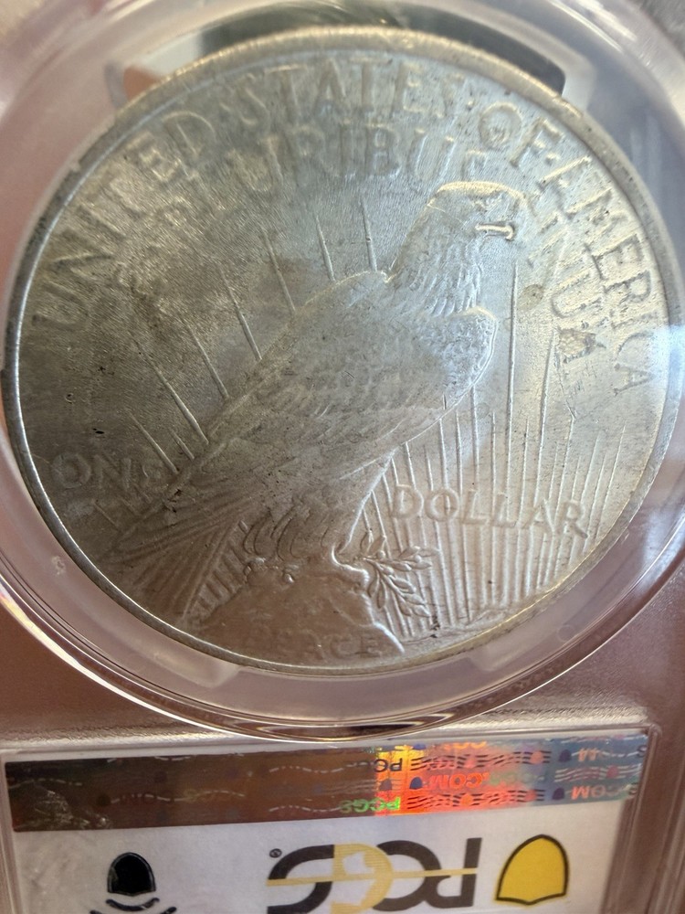 1923 Peace Silver Dollar Coin PCGS MS64
