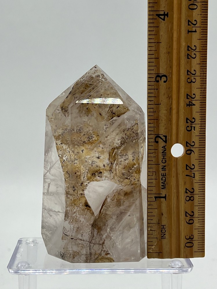 Dendritic Quartz E