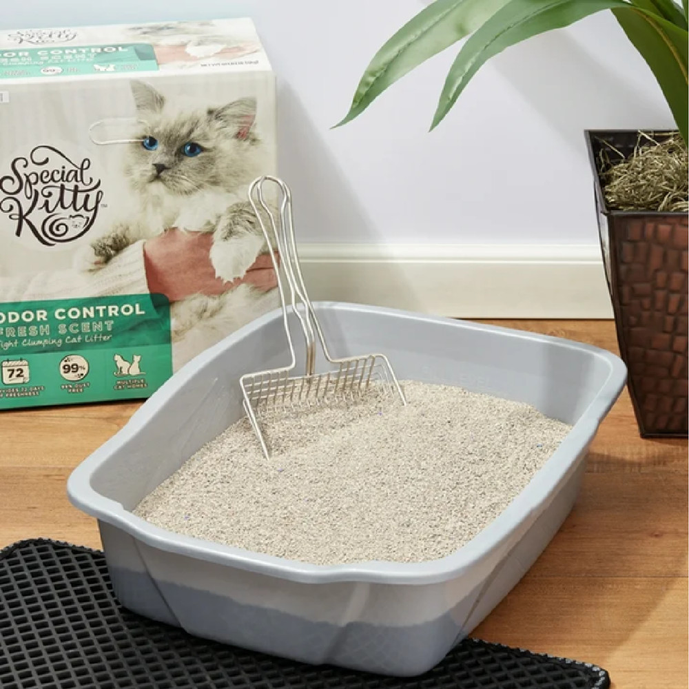 2 Pack Special Kitty Odor Control Tight Clumping Cat Litter, Fresh Scent, 40lb