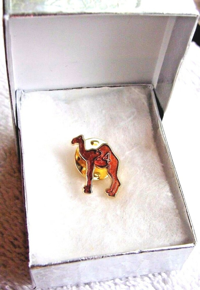 Alcoholics Anonymous Camel AA Lapel Hat Vest Pin 24 hour Sober